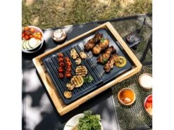 Mestic Grillplaat MG-135 -Winkel Voor Kampeerartikelen Voor Buiten 50 3 mestic grillplaat mg 135 1506500