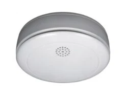 Smartwares 10.038.93 Rookmelder RM218